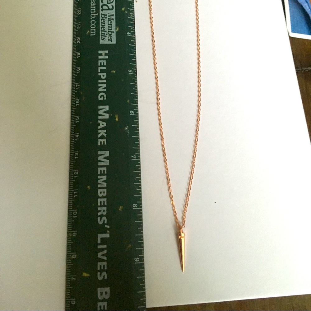 Rose Gold spike necklace